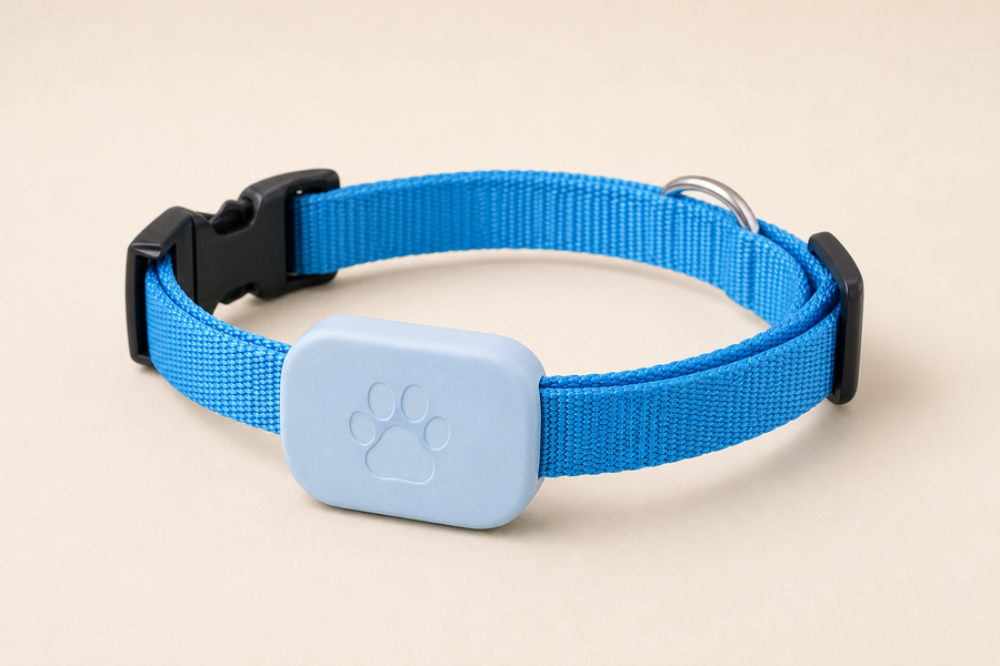 Blue Tether Collar