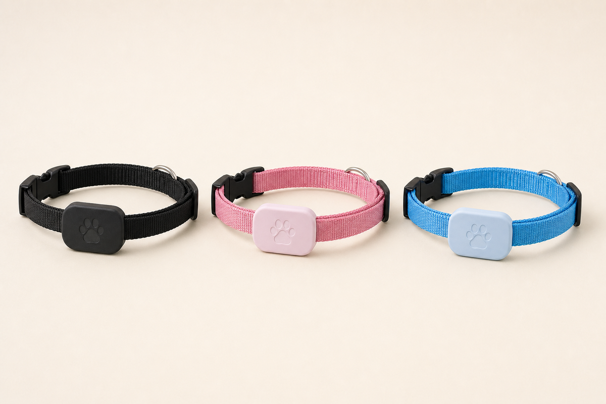 Tether Collars in Black, Pink, and Blue