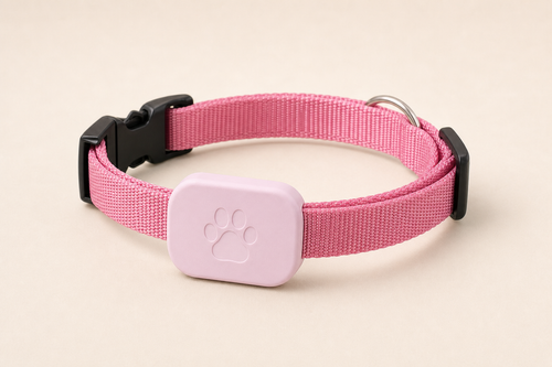 Pink Tether Collar with compact locator holder
