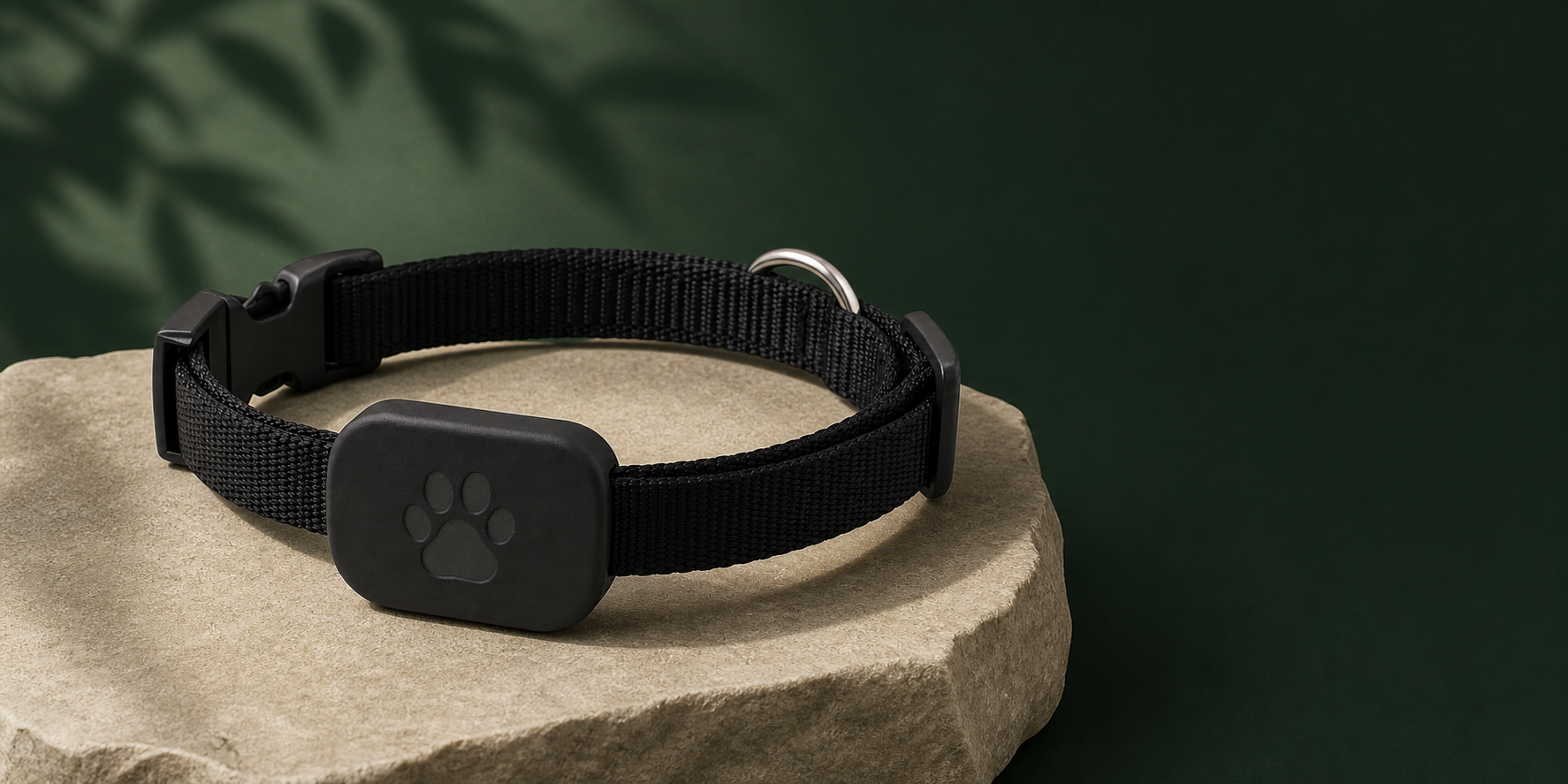 Black Tether Collar on a warm stone display